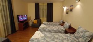 TV a/nebo společenská místnost v ubytování Matev Hotel