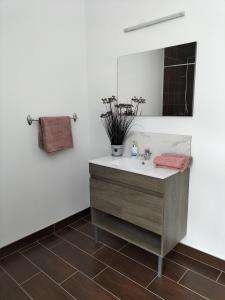 a bathroom with a sink and a mirror at Maison à 8 min de Saint Dié en lieu calme proche nature Lacs, forêt, Parcs in Raon-lʼÉtape