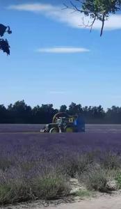 Příroda nedaleko prázdninového domu