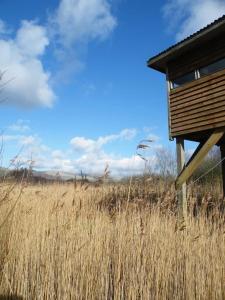 Φωτογραφία από το άλμπουμ του Furnace Cottage σε Machynlleth