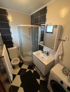 a bathroom with a sink and a toilet and a shower at Apartments Marinić in Tivat