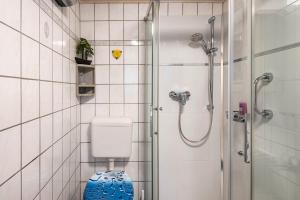 a bathroom with a shower and a toilet in it at Ferienhaus Harzvorland in Frose +19 photos