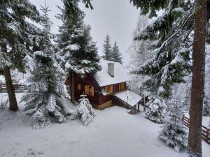 una casa ricoperta di neve nei boschi di Tri Srca a Nova Varoš