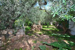 Zahrada ubytování M&G Holiday House