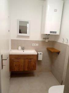 a bathroom with a sink and a mirror at Sinnvoll - Ferienwohnung1 in Sankt Anna am Aigen