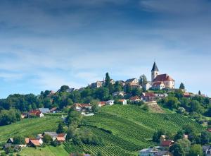 a small village on a hill with a church at Sinnvoll - Ferienwohnung1 in Sankt Anna am Aigen