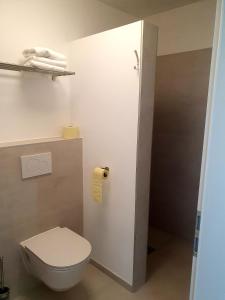 a bathroom with a white toilet and a sink at Sinnvoll - Ferienwohnung1 in Sankt Anna am Aigen
