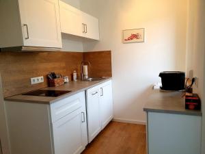 a small kitchen with white cabinets and a sink at Sinnvoll - Ferienwohnung1 in Sankt Anna am Aigen +7 photos