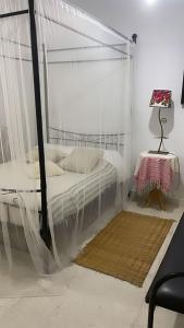 a bedroom with a bed with a mosquito net at La Marsa Maison avec jardin, terrasse parking Wifi Illimité in La Marsa