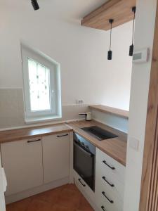 Кухня або міні-кухня у Apartman Šapat bora