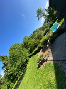 a grassy hill with trees on the side of a building at Arduinna's Nest B&B in Neufchâteau