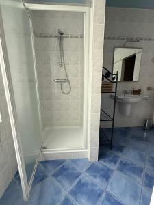 a bathroom with a shower and a sink at Arduinna's Nest B&B in Neufchâteau