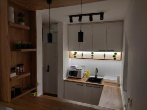Кухня або міні-кухня у Apartman Šapat bora