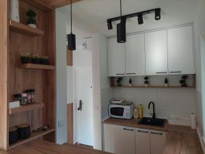 Кухня або міні-кухня у Apartman Šapat bora