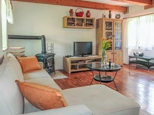 Una sala de estar con un sofá y una estufa. en Holiday Home Marija by Interhome, en Nedeščina
