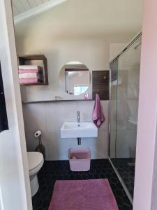 a bathroom with a sink and a toilet and a shower at LieBling Place in Cape Town