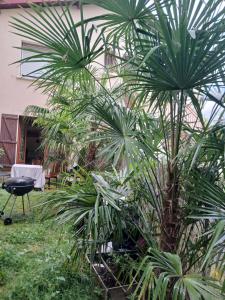 Zahrada ubytování Comme A La Maison Chez Dominnique Coquet T2 Avec Jardin Homme Chaleureux