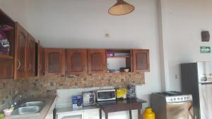 a kitchen with wooden cabinets and a sink and a microwave at Hostal El Jardin in León