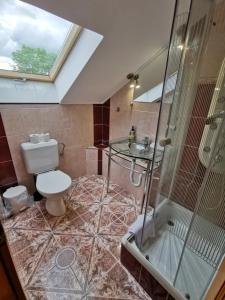 a bathroom with a toilet and a shower and a sink at Beach Resident in Balatonszemes +50 photos