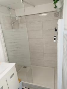 a shower with a glass door in a bathroom at Disney grand F2 dans maison terrasse privée in Bouleurs +11 photos