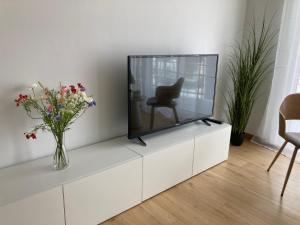 TV a/nebo společenská místnost v ubytování Goodvibes
