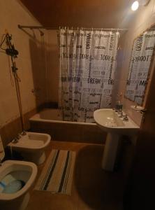 Koupelna v ubytování Espectacular departamento con vista panoramica a las montañas y canal zona centrica