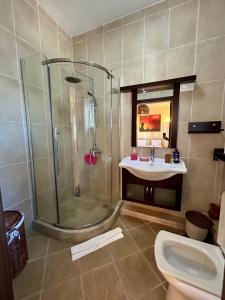 a bathroom with a shower and a sink and a toilet at Sea view Ginger apartment in Pointe aux Biches +12 photos
