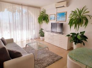 TV a/nebo společenská místnost v ubytování Apartment Eva