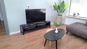a living room with a tv and a table at Woonhuis De Elsejan in Westerhaar-Vriezenveensewijk