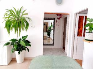 Postel nebo postele na pokoji v ubytování Apartment Eva