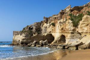 Природа в окрестностях апартаментов/квартиры