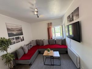 a living room with a couch and a tv at Alojamento dos Remédios in Lamego