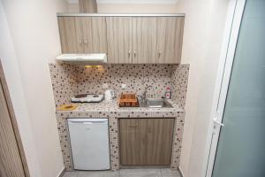 Kuchyň nebo kuchyňský kout v ubytování Babis House