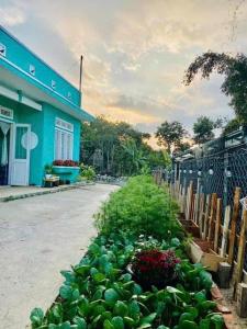 a garden of green plants in front of a building at Boy House Đà Lạt in Da Lat