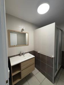a bathroom with a sink and a mirror at Appartement cosy avec terrasse au calme in Urcuit