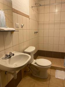 クスコにあるHOTEL HUAYNAPATA Pardoのトイレと洗面台付きのバスルーム