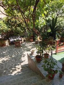 Κήπος έξω από το Garsoniera cu bucătărie Clara, Iulius Mall