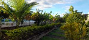 a garden with a row of bushes and trees at Hotel mountain garden in Tingo María +18 photos