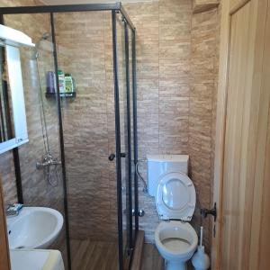 a bathroom with a shower and a toilet and a sink at Planinska kuća in Žabljak +18 photos