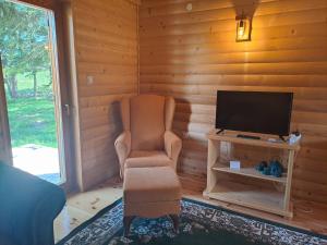 a living room with a chair and a television at Planinska kuća in Žabljak