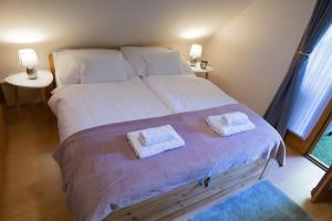 Un pat sau paturi într-o cameră la Vida Vendégház - Dobogókő