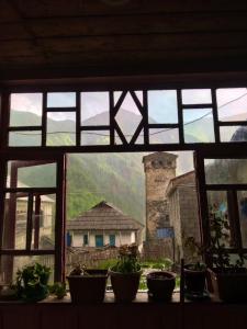 a window with potted plants in front of a house at Bata GuesThouse in Adishi