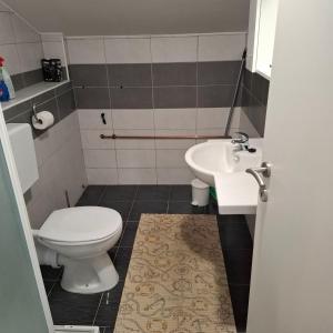 une salle de bain avec toilettes et lavabo dans l'établissement Apartments Oliva - Maslina, à Bilice