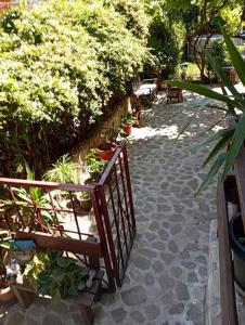 Κήπος έξω από το garsoniera cu bucătărie, Iulius Mall