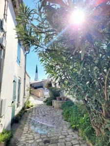 an alley with the sun shining through a tree at La Maison du Puits Fleuri in Ars-en-Ré