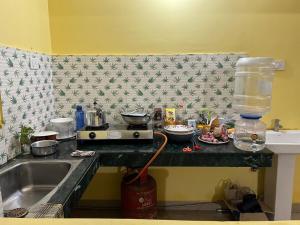 Kuchyň nebo kuchyňský kout v ubytování Homestay Inn