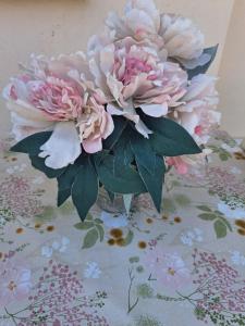 Fotografie z fotogalerie ubytování Apartma Solina v Portoroži