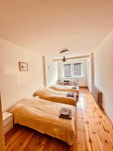 three beds in a room with wooden floors and a window at ANELL Hostel in Poznań
