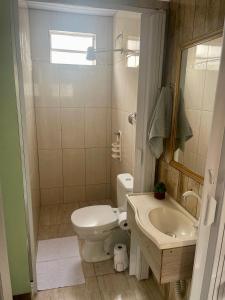 ein Badezimmer mit Toilette, Waschbecken und Dusche in der Unterkunft Pousada Nossa Senhora de Laus in Cachoeira Paulista