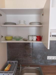 een keuken met een wastafel en enkele borden op de planken bij Ģimenes studija 2 in Pāvilosta